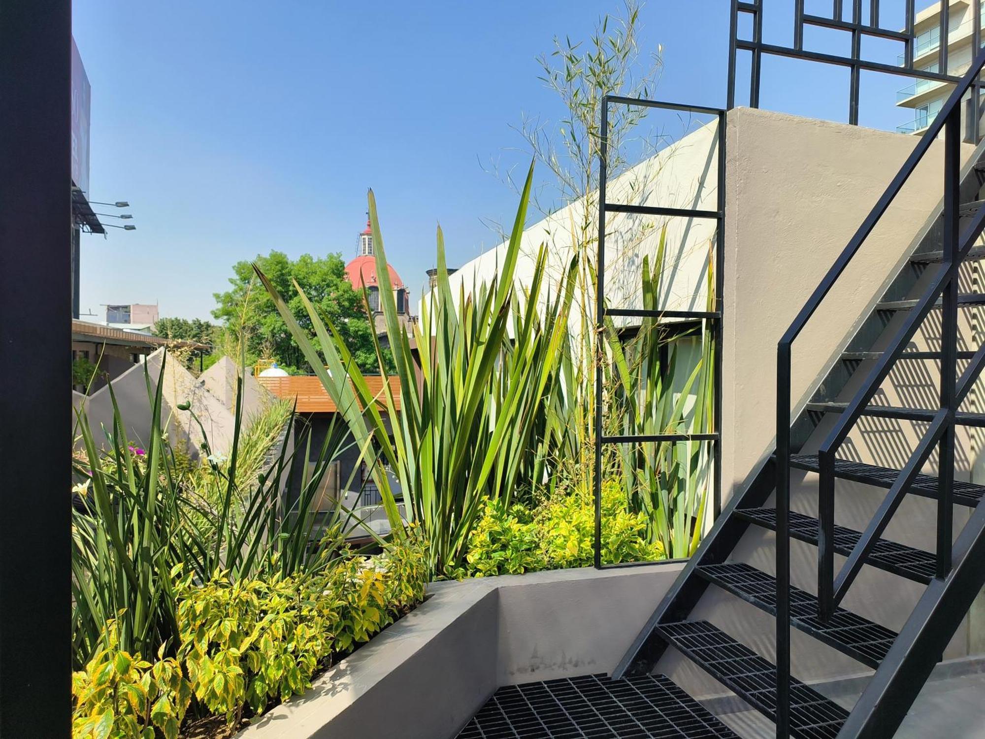 Flats Friends Condesa-Pelotari Cidade do México Exterior foto